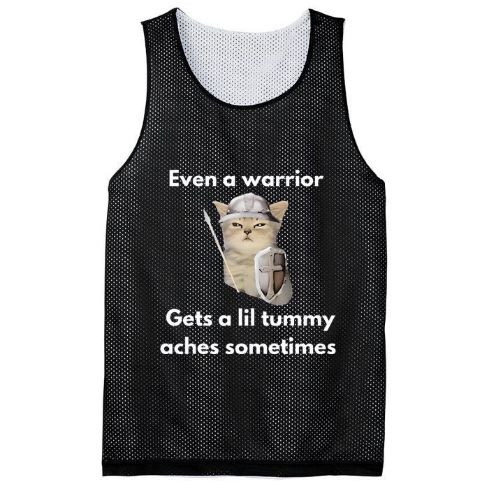 Even A Warrior Gets A Lil Tummy Aches Sometimes Mesh Reversible Basketball Jersey Tank