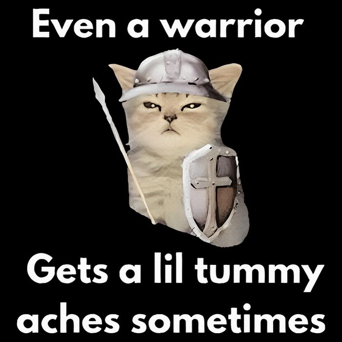 Even A Warrior Gets A Lil Tummy Aches Sometimes Mesh Reversible Basketball Jersey Tank