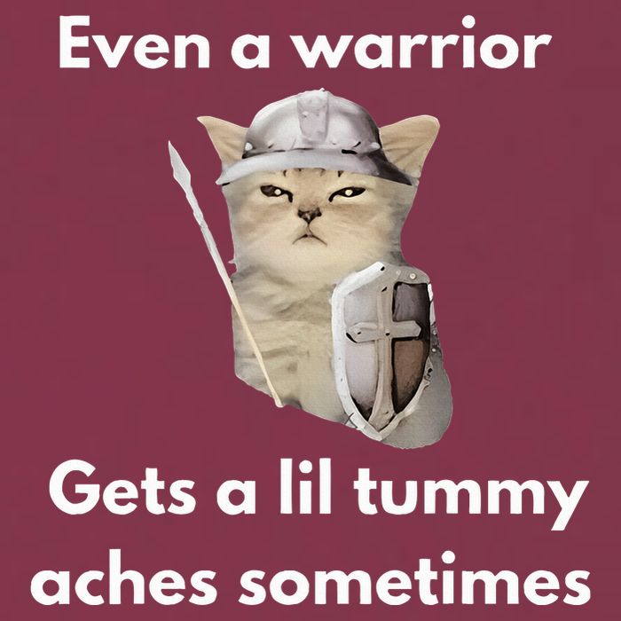 Even A Warrior Gets A Lil Tummy Aches Sometimes 16oz Travel Tumbler