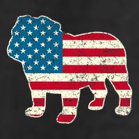 English Bulldog 4th Of July Dog American Flag Usa 7 Panel Mesh Trucker Snapback Hat