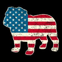 English Bulldog 4th Of July Dog American Flag Usa City Backpack