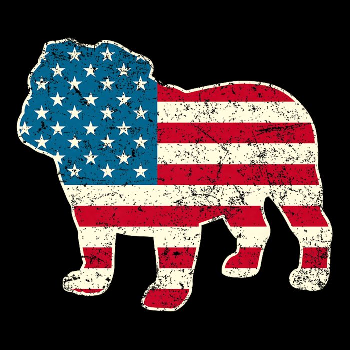 English Bulldog 4th Of July Dog American Flag Usa City Backpack