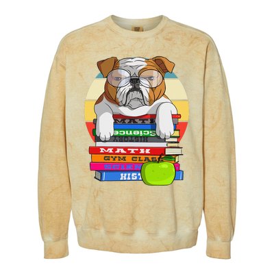 English Bulldog Back To School Book Worm Dog Colorblast Crewneck Sweatshirt