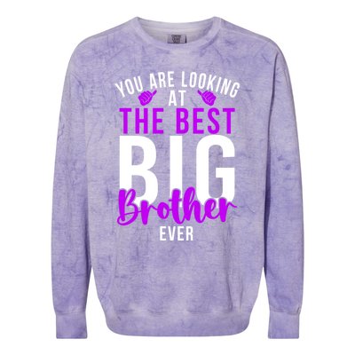 Ever Big Brother You Are Looking At The Best Big Brother Colorblast Crewneck Sweatshirt