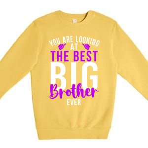 Ever Big Brother You Are Looking At The Best Big Brother Premium Crewneck Sweatshirt