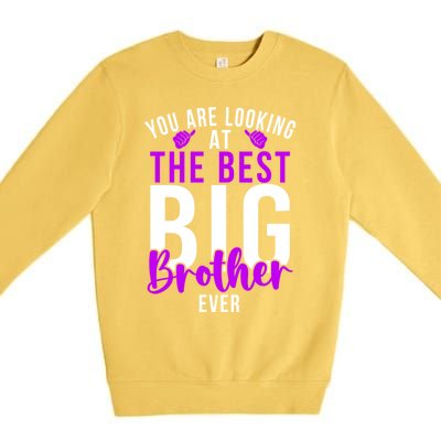 Ever Big Brother You Are Looking At The Best Big Brother Premium Crewneck Sweatshirt