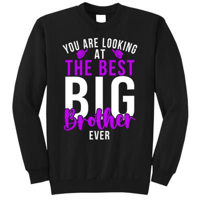 Ever Big Brother You Are Looking At The Best Big Brother Sweatshirt