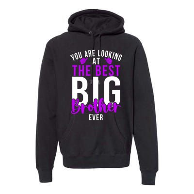 Ever Big Brother You Are Looking At The Best Big Brother Premium Hoodie