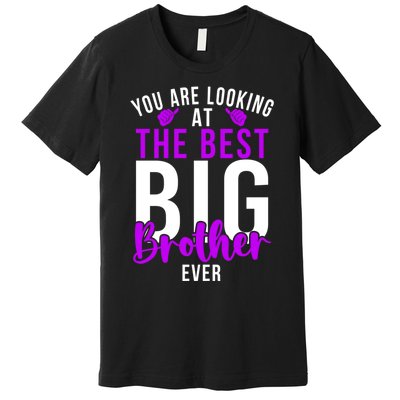 Ever Big Brother You Are Looking At The Best Big Brother Premium T-Shirt