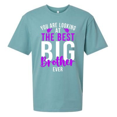 Ever Big Brother You Are Looking At The Best Big Brother Sueded Cloud Jersey T-Shirt