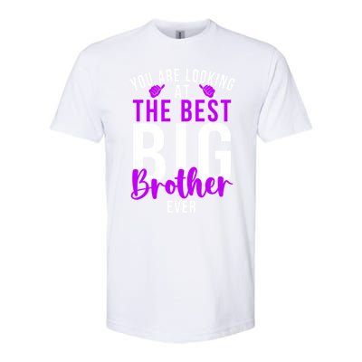 Ever Big Brother You Are Looking At The Best Big Brother Softstyle CVC T-Shirt