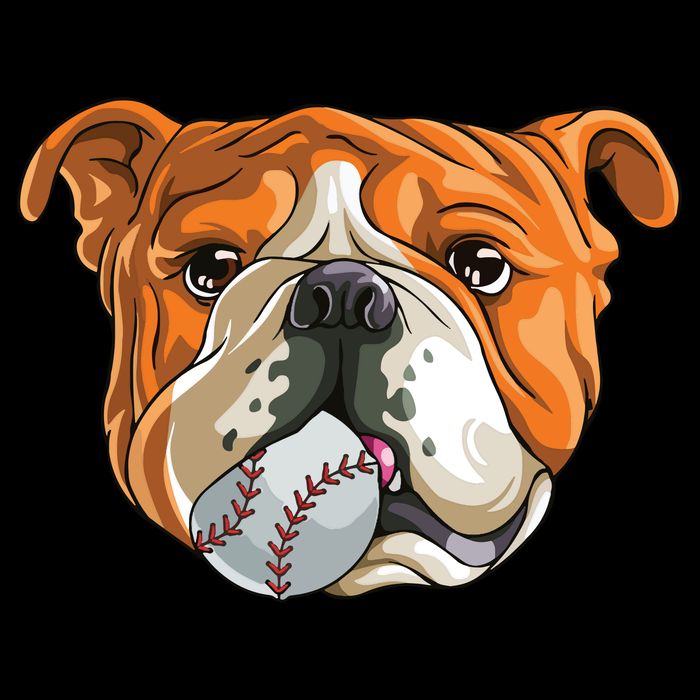 English Bulldog Baseball T Dog Funny Cute Lover 16 in Basic Backpack