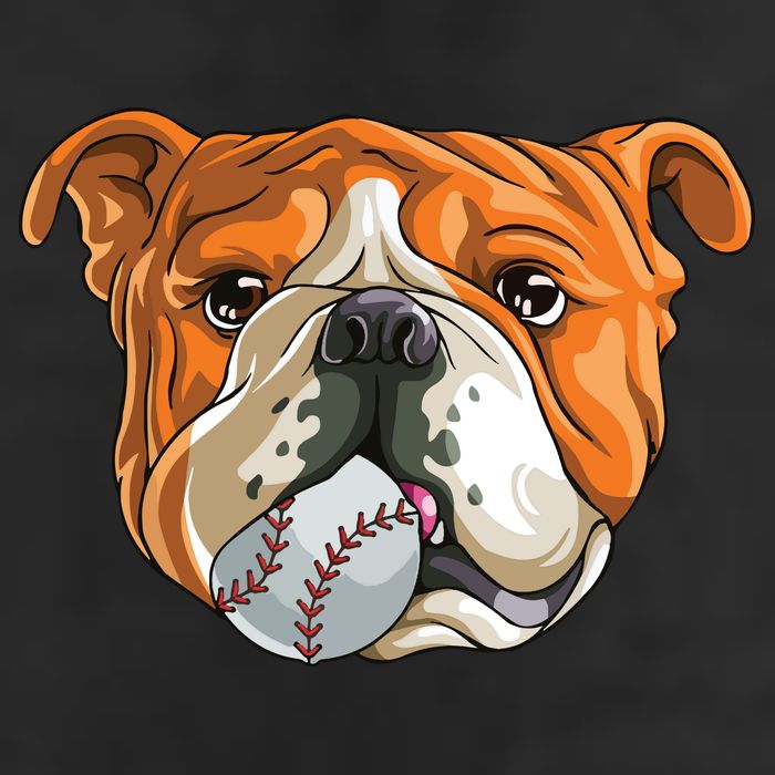 English Bulldog Baseball T Dog Funny Cute Lover Hat