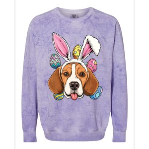 Easter Bunny Beagle Dog Kids Men Women Colorblast Crewneck Sweatshirt