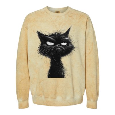 Eagerlys Black Cat Art Grumpy Angry Colorblast Crewneck Sweatshirt