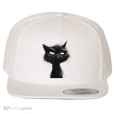 Eagerlys Black Cat Art Grumpy Angry Wool Snapback Cap