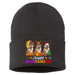 English Bulldog Dog Halloween Christmas Hallothanksmas Sustainable Knit Beanie