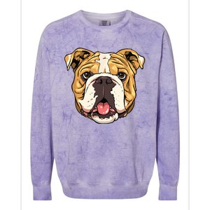 English Bulldog English Bulldog Breed Lover Women Men Colorblast Crewneck Sweatshirt