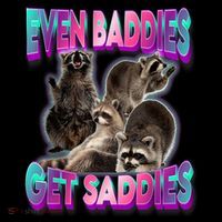 Even Baddies Get Saddies Raccoon Funny Oddly Specific Meme T-Shirt