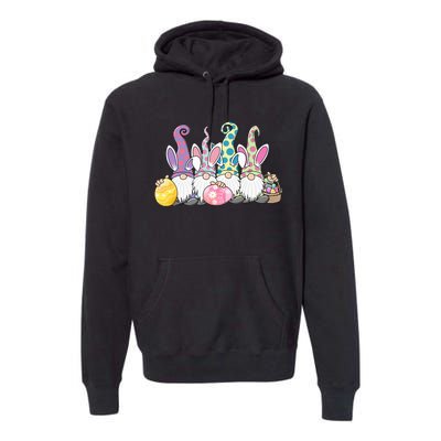 Easter Bunny Gnome Easter Eggs Hunting Premium Hoodie