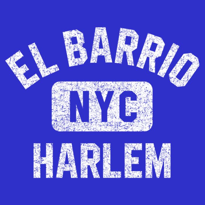 El Barrio Harlem Nyc Gym Style Distressed White Print Gift Women's V-Neck T-Shirt