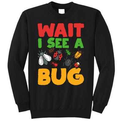 Entomologist Bug Insect Collector Entomology Tall Sweatshirt