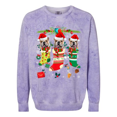 English Bulldogs In Christmas Socks Puppy Lovers Xmas Meaningful Gift Colorblast Crewneck Sweatshirt