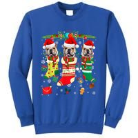 English Bulldogs In Christmas Socks Puppy Lovers Xmas Meaningful Gift Sweatshirt