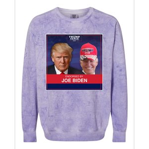 Endorsed By Joe Biden Colorblast Crewneck Sweatshirt