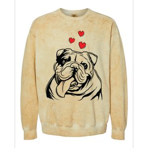 English Bulldog Love Cute Bully Dog Mom Funny Women Gift Colorblast Crewneck Sweatshirt