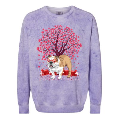 English Bulldog Lover Funny English Bulldog Valentine's Day Gift Colorblast Crewneck Sweatshirt