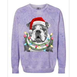 English Bulldog Santa Christmas Tree Lights Xmas Dog Cool Gift Colorblast Crewneck Sweatshirt