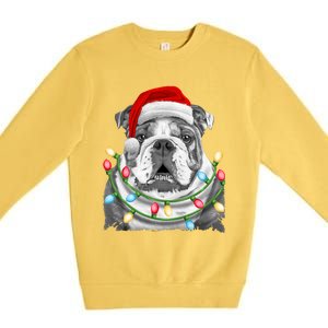 English Bulldog Santa Christmas Tree Lights Xmas Dog Cool Gift Premium Crewneck Sweatshirt