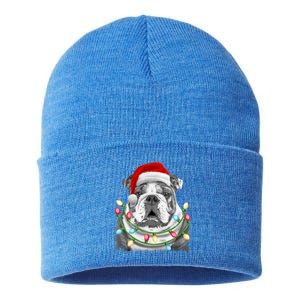 English Bulldog Santa Christmas Tree Lights Xmas Dog Cool Gift Sustainable Knit Beanie