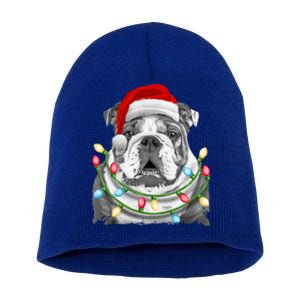 English Bulldog Santa Christmas Tree Lights Xmas Dog Cool Gift Short Acrylic Beanie