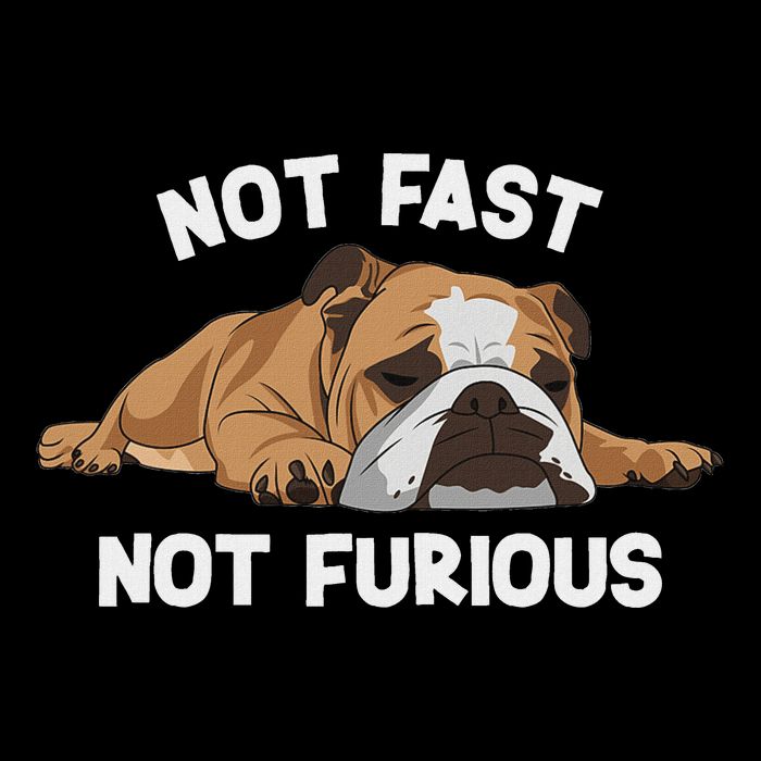 English Bulldog Sleeping Not Fast Not Furious Funny Slogan Full-Length Apron With Pockets
