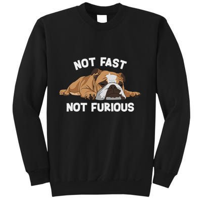 English Bulldog Sleeping Not Fast Not Furious Funny Slogan Sweatshirt