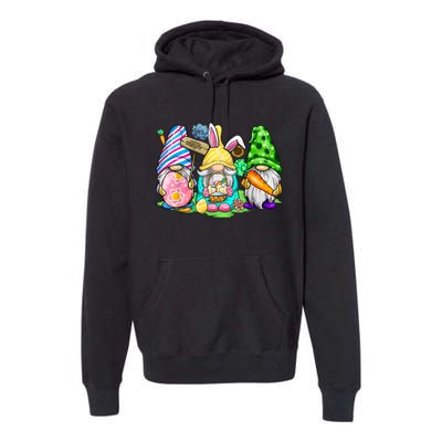 Easter Bunny Spring Gnome Easter Egg Hunting And Basket Gift Premium Hoodie