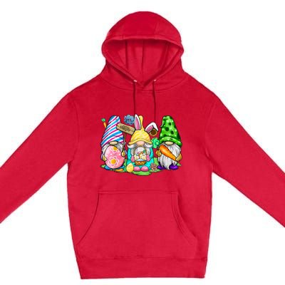 Easter Bunny Spring Gnome Easter Egg Hunting And Basket Gift Premium Pullover Hoodie