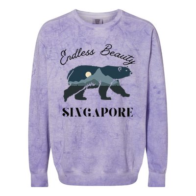 Endless Beauty Singapore Vacation Outfit Bear Singapore Colorblast Crewneck Sweatshirt