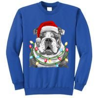 English Bulldog Santa Christmas Tree Lights Xmas Boys Dog Gift Tall Sweatshirt