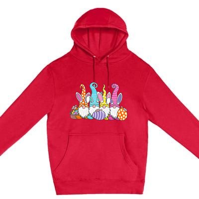 Easter Bunny Spring Gnome Easter Egg Hunting And Basket Gift Premium Pullover Hoodie