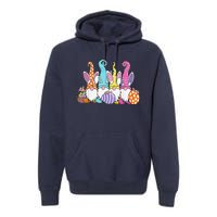 Easter Bunny Spring Gnome Easter Egg Hunting And Basket Gift Premium Hoodie