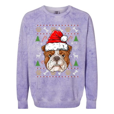 English Bulldog Ugly Christmas Dog Santa Hat Xmas Boys Gift Colorblast Crewneck Sweatshirt