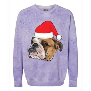 English Bulldog With Santa Claus Hat Dog Lover Christmas Gift Colorblast Crewneck Sweatshirt