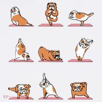 English Bulldog Yoga Puppy Yoga Poses And Meditation T-Shirt