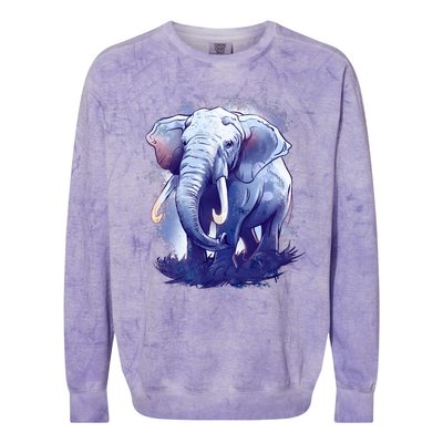 Elephant Colorful Art Colorblast Crewneck Sweatshirt