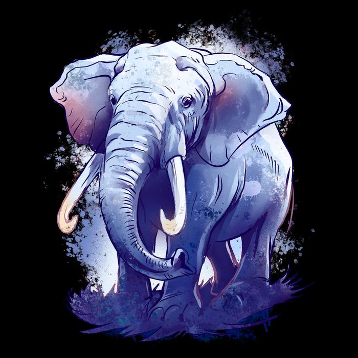 Elephant Colorful Art Backpack