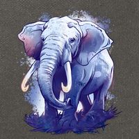 Elephant Colorful Art Cotton Canvas Backpack