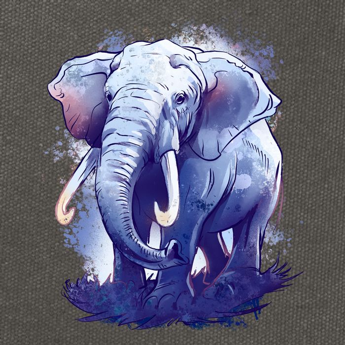 Elephant Colorful Art Cotton Canvas Backpack